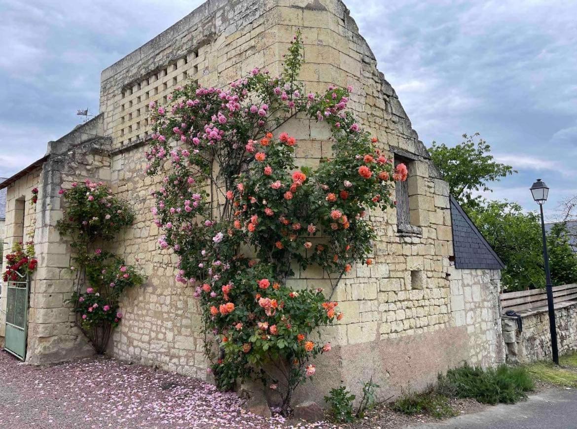 Apartament Le Colombier Le Coudray-Macouard Zewnętrze zdjęcie